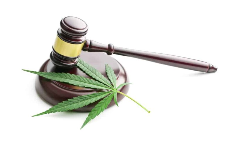 Legalized Pot: Opportunity Knocks for Savvy Industries