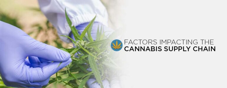 Factors Impacting the Cannabis Supply Chain