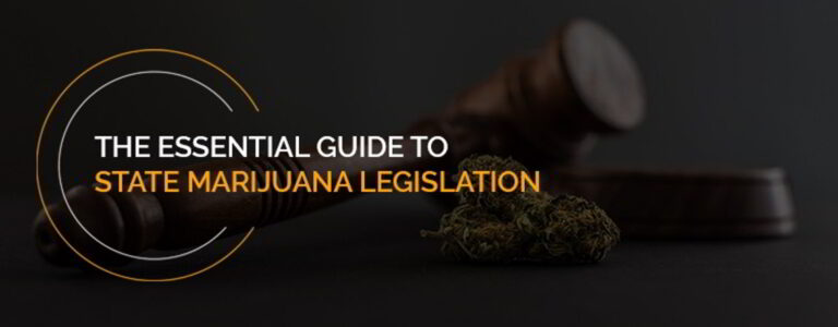 The Essential Guide to State Marijuana Legislation