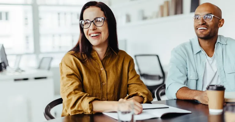 Voice of Customer Consultant