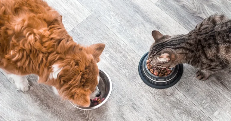 Capturing Marketshare Premium Petfood